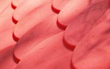 Ashcott plastic roof costs